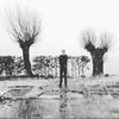 Indy  zoekt een Kamer in Groningen